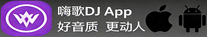 15Mix舞曲音乐网 APP