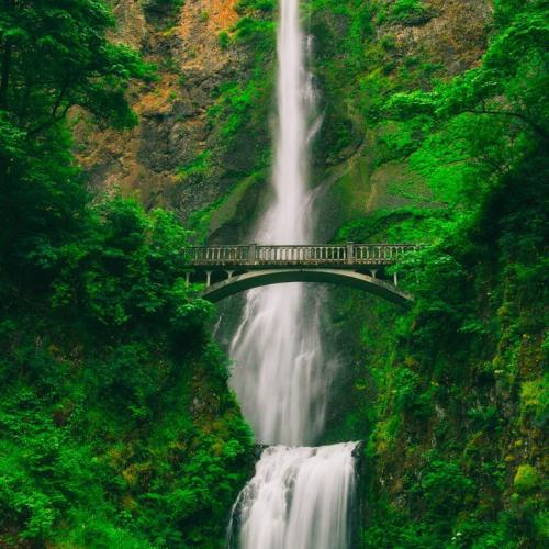 Nhat Tren(Doi LakHouse Rmx)