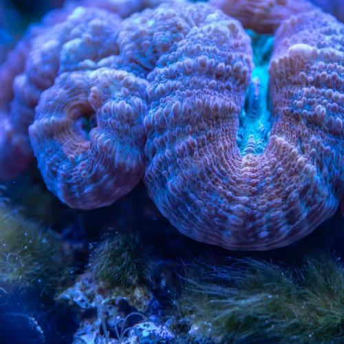 乐巢会 You spin me round ( DJ文意&DJsiyan四眼 LAK House Mix)